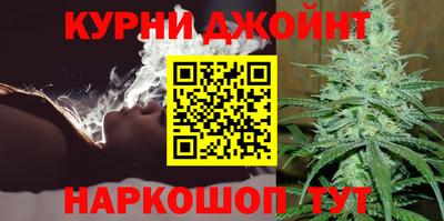 сатива Апшеронск