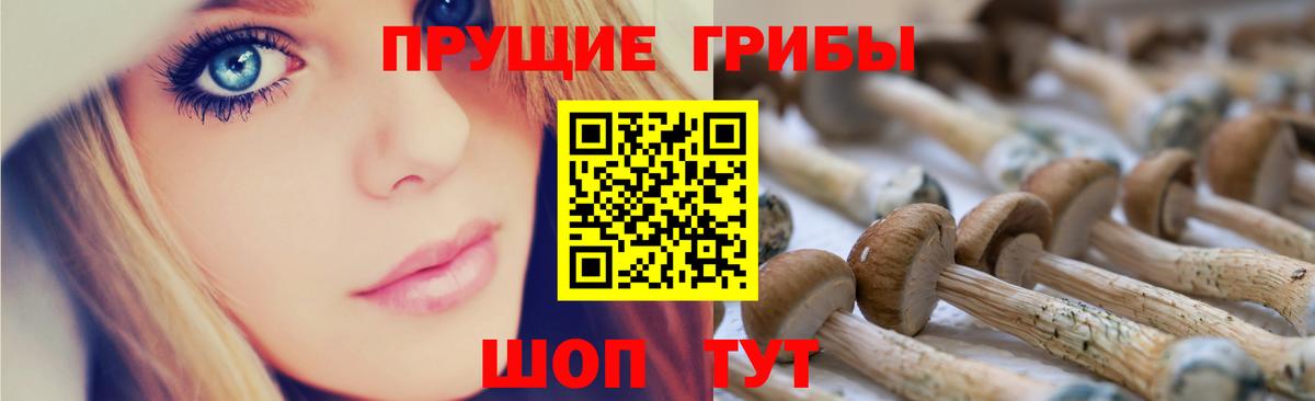 Псилоцибиновые грибы Magic Shrooms  Вход с VPN  Астрахань 